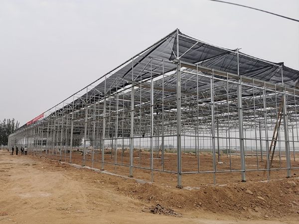 玻璃溫室的優點有哪些？