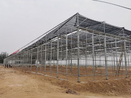 玻璃溫室的優(yōu)點(diǎn)有哪些？