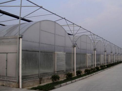 連棟薄膜溫室